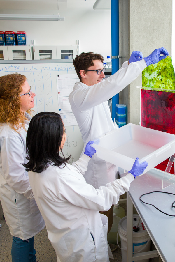 Three researcher working in a renewable energy lab.
