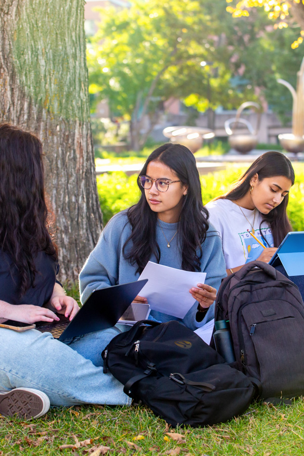 Four female students study outside in the shade.